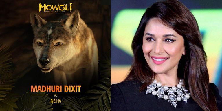 Bollywood Celebs Who Have Been Roped In For The Hindi Version Of Netflix’s Mowgli!