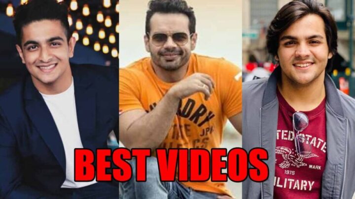 BeerBiceps, Flying Beast, Ashish Chanchlani: Best videos ever