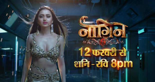 Naagin 6: Tejasswi Prakash’s Per Episode Fees (In Lakhs) Will Drop Your Jaws, Simba Nagpal, Mahekk Chahal & Others’ Salary Revealed As Well!