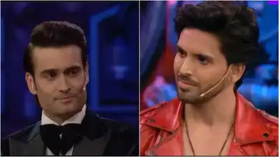 Bigg Boss 18 Spoiler: Vivian Dsena