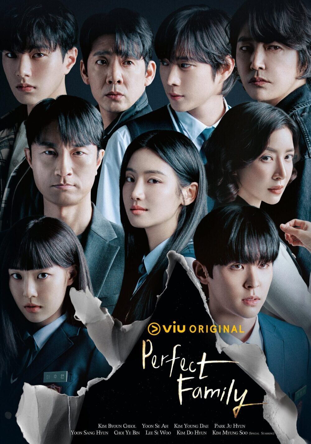 Perfect Family Cast, OTT, Budget, Box Office, And More