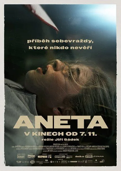 Aneta Cast, OTT, Budget, Box Office, And More