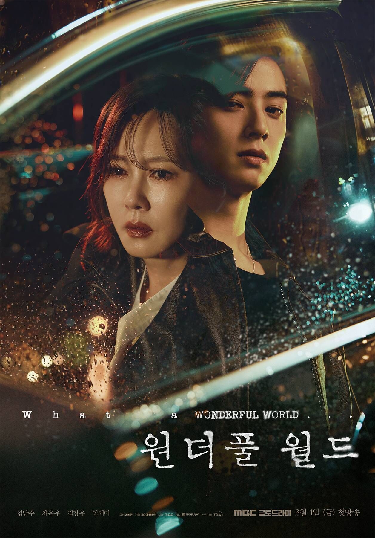 Wonderful World Cast, OTT, Budget, Box Office, And More