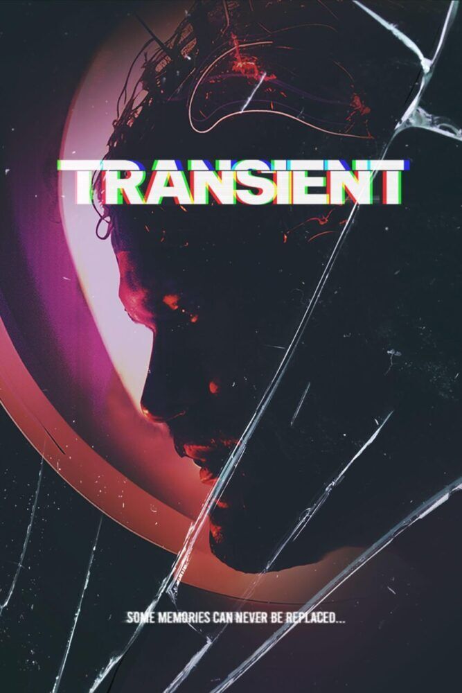 Transient Cast, OTT, Budget, Box Office, And More