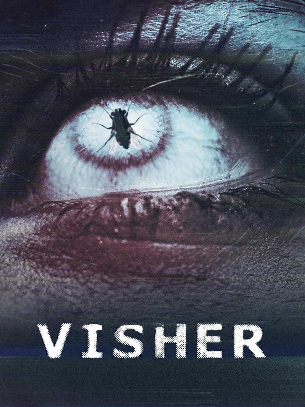 Visher Cast, OTT, Budget, Box Office, And More