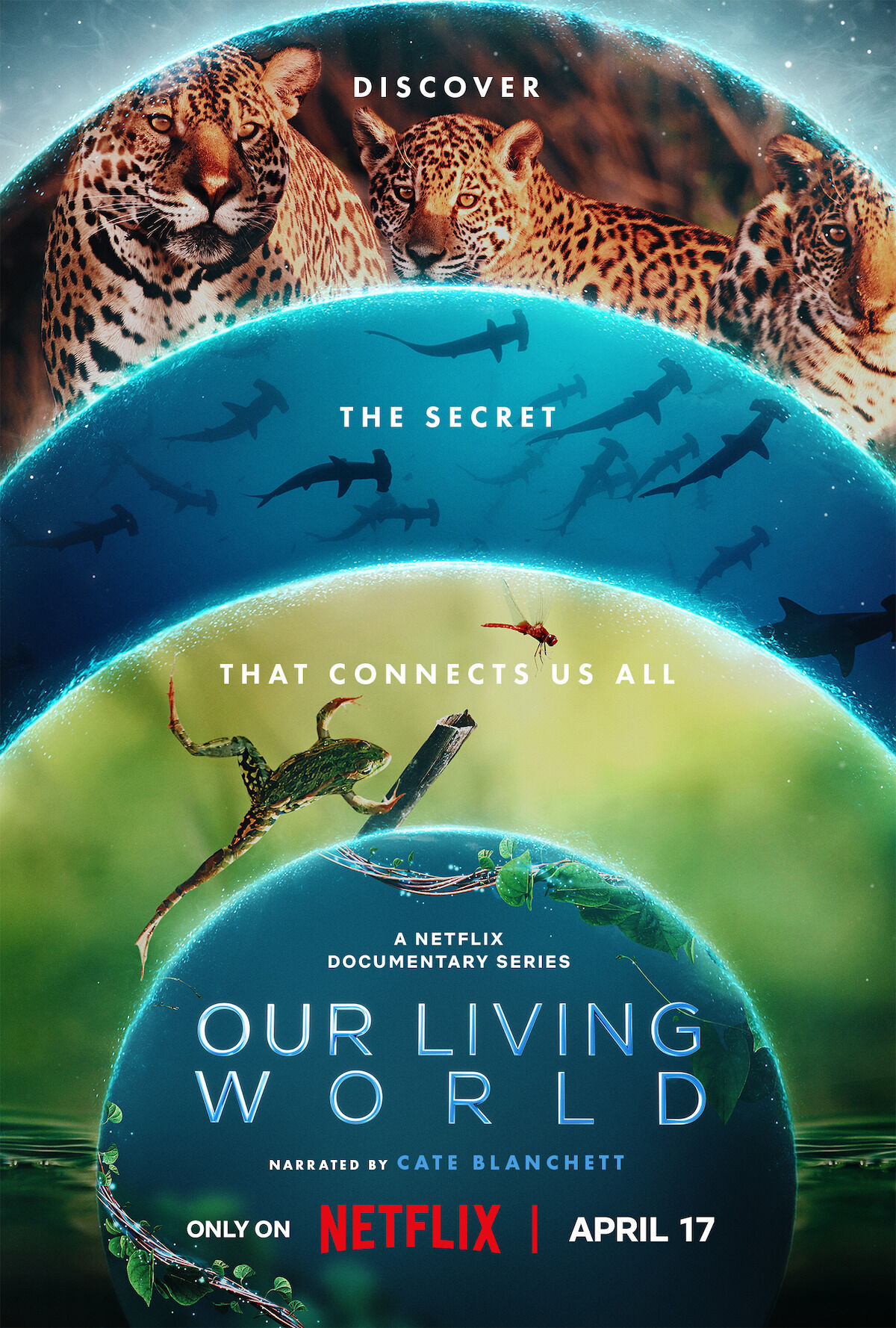 Our Living World Cast, OTT, Budget, Box Office, And More