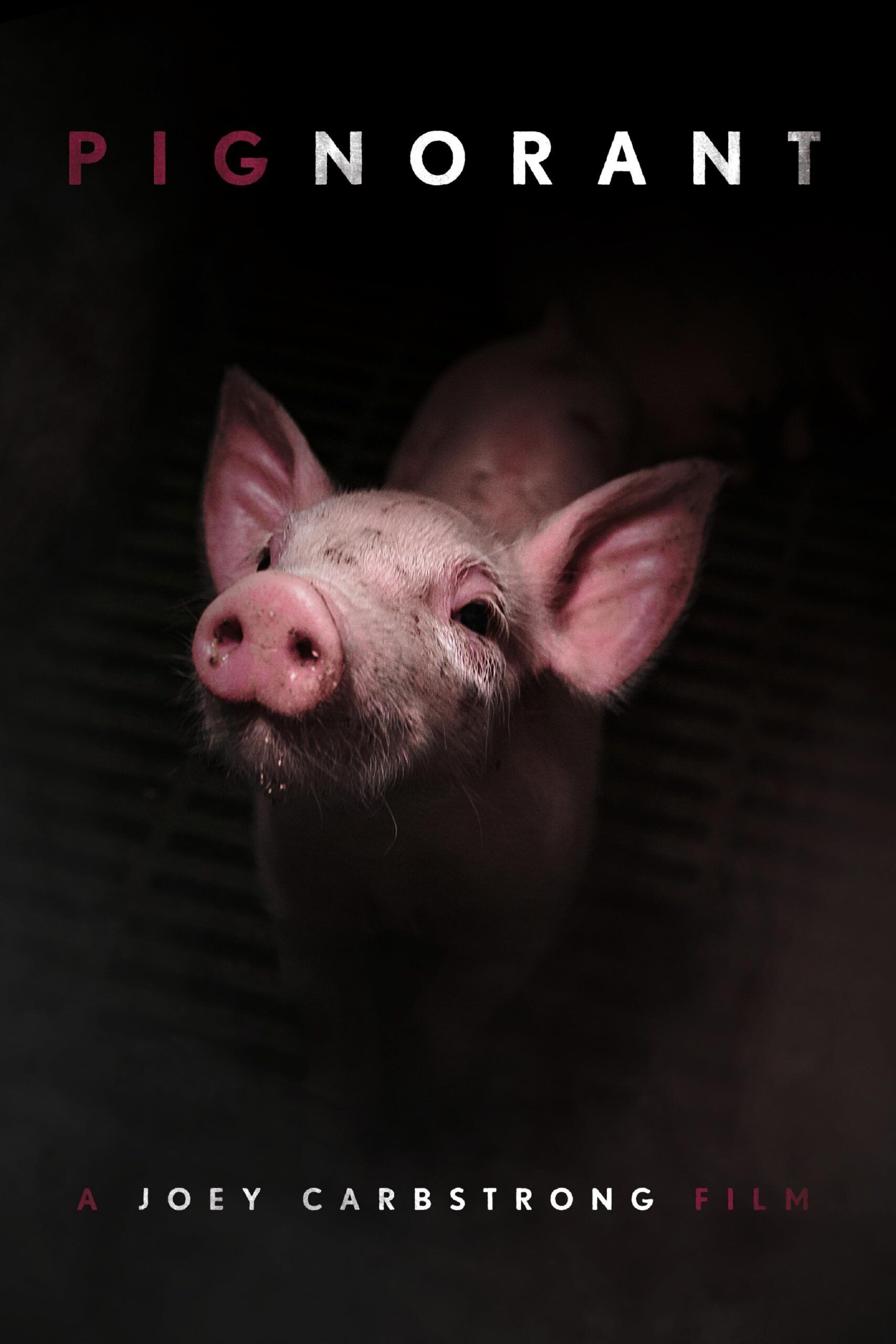 Pignorant Cast, OTT, Budget, Box Office, And More