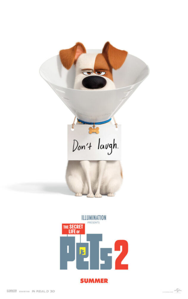 The Secret Life of Pets 2 2019 Movie Cast, OTT, Budget, Box Office, And More
