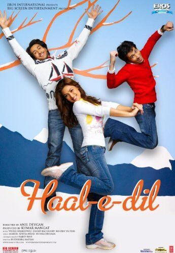 Haal-e-Dil 2008 Movie Cast, OTT, Budget, Box Office, And More