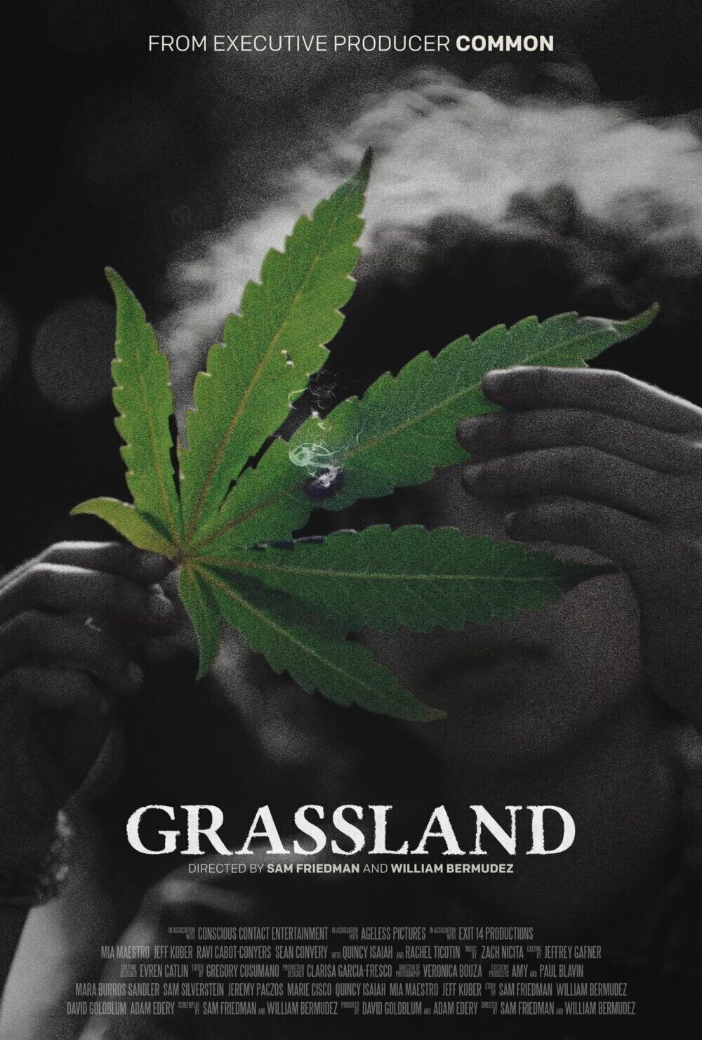 Grassland Cast, OTT, Budget, Box Office, And More
