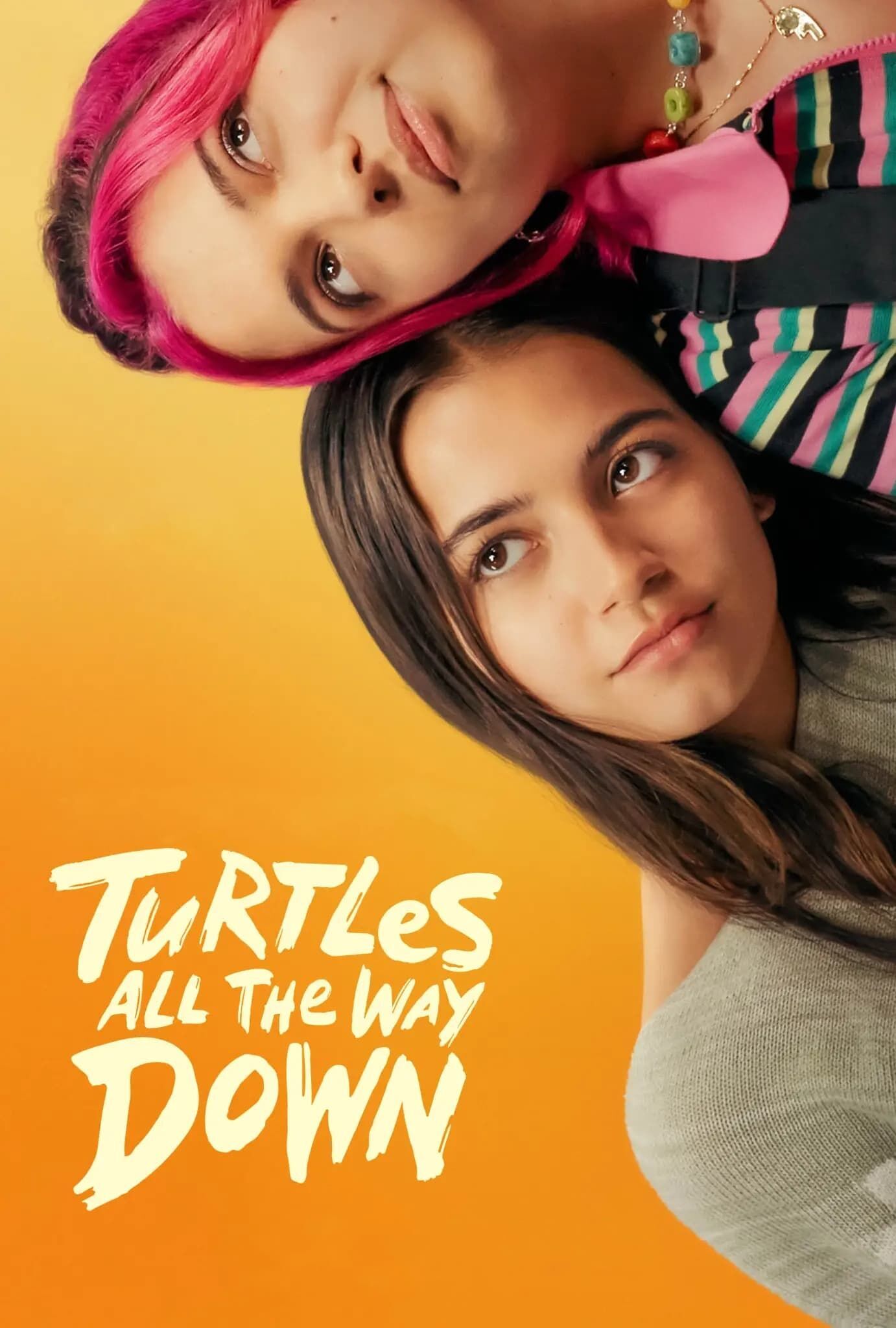 Turtles All the Way Down Cast, OTT, Budget, Box Office, And More