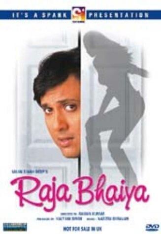 Raja Bhaiya 2003 Movie Cast, OTT, Budget, Box Office, And More