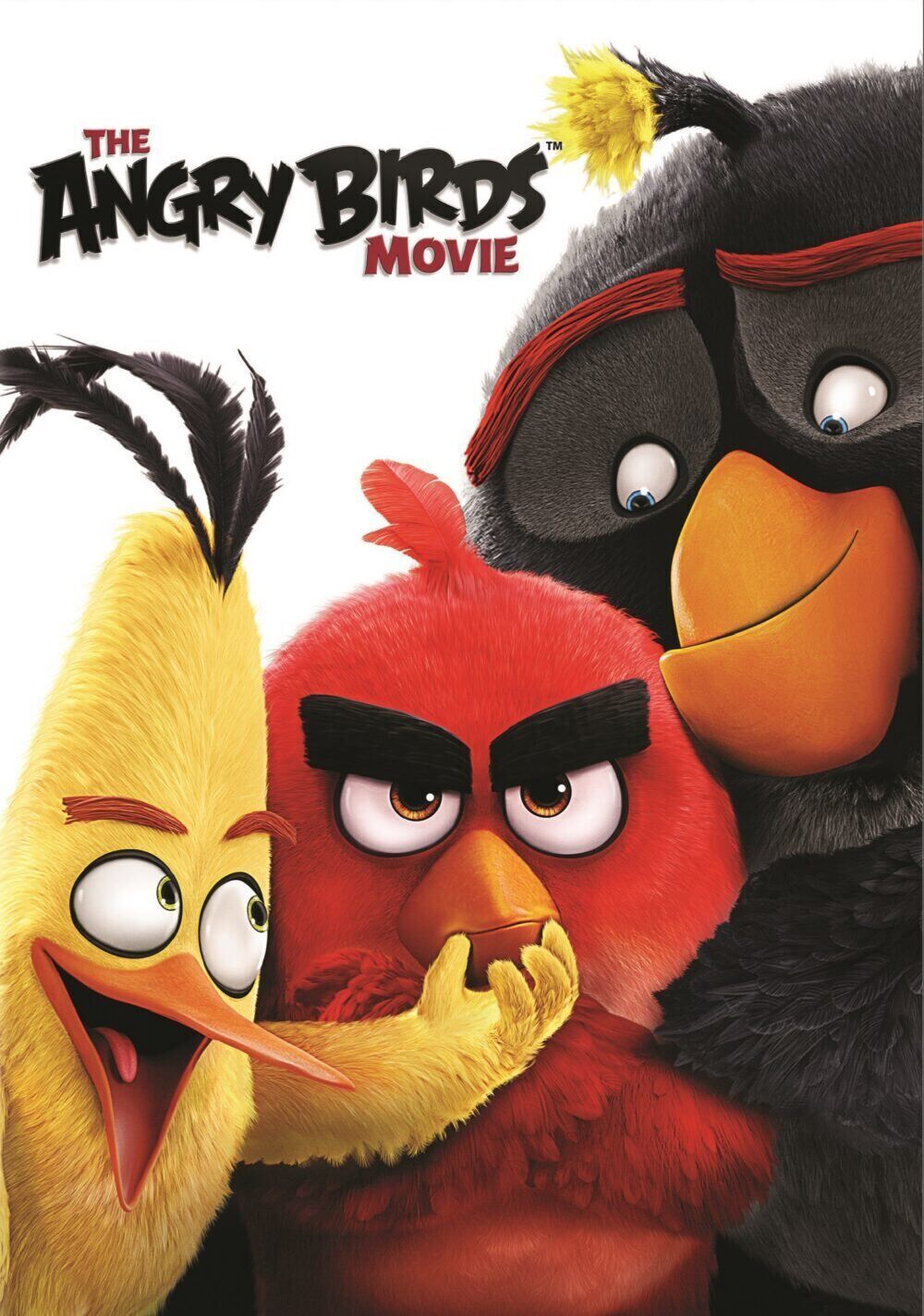 The Angry Birds Movie 2016 Movie Cast, OTT, Budget, Box Office, And More
