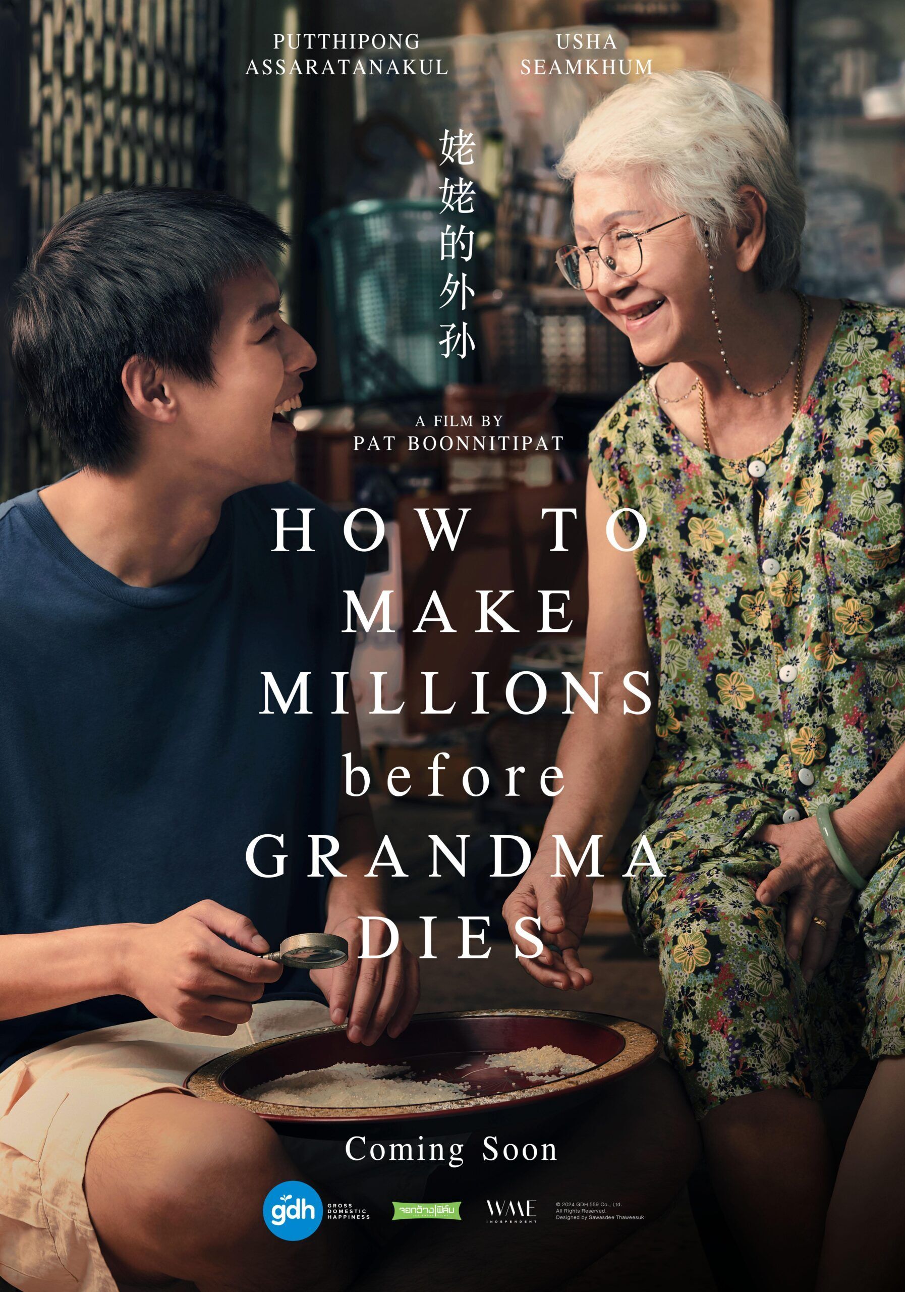How to Make Millions Before Grandma Dies Cast, OTT, Budget, Box Office, And More
