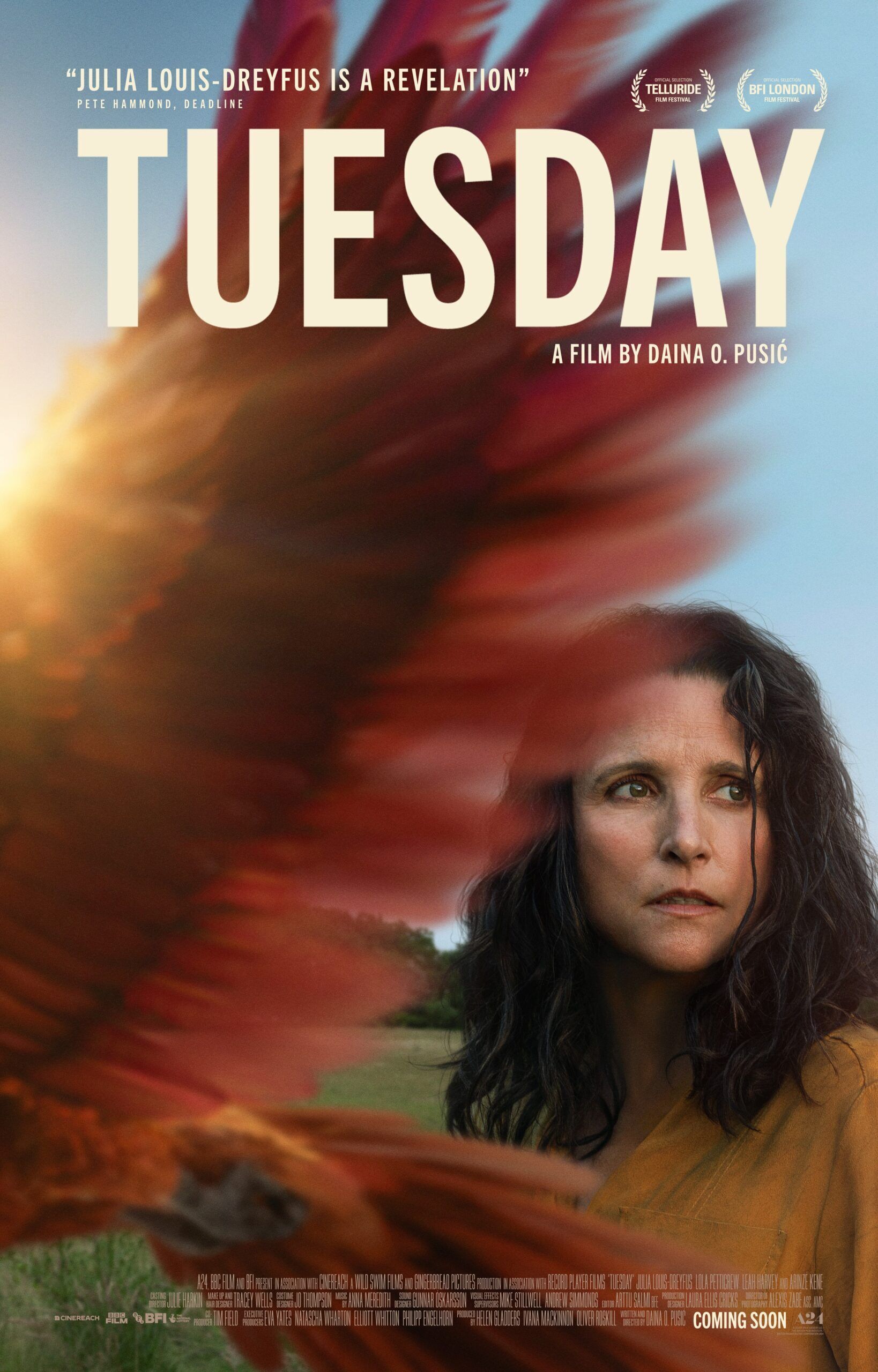 Tuesday 2024 Movie Cast, OTT, Budget, Box Office, And More