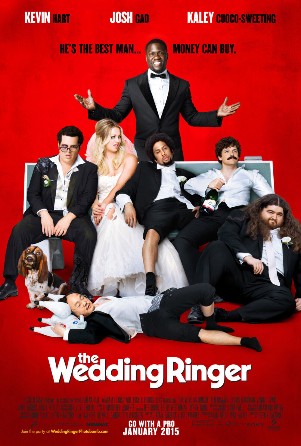 The Wedding Ringer 2015 Movie Cast, OTT, Budget, Box Office, And More