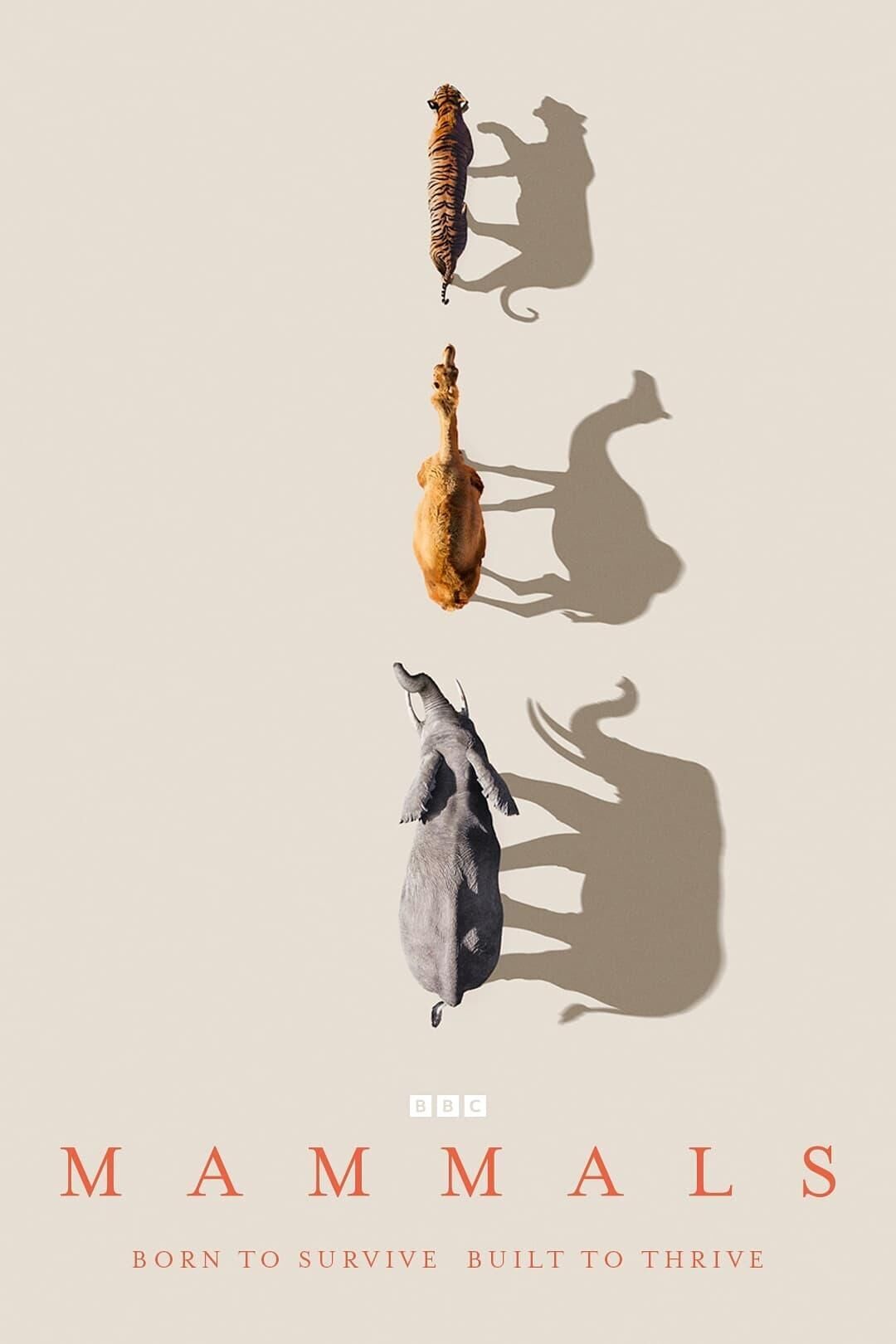 Mammals Cast, OTT, Budget, Box Office, And More