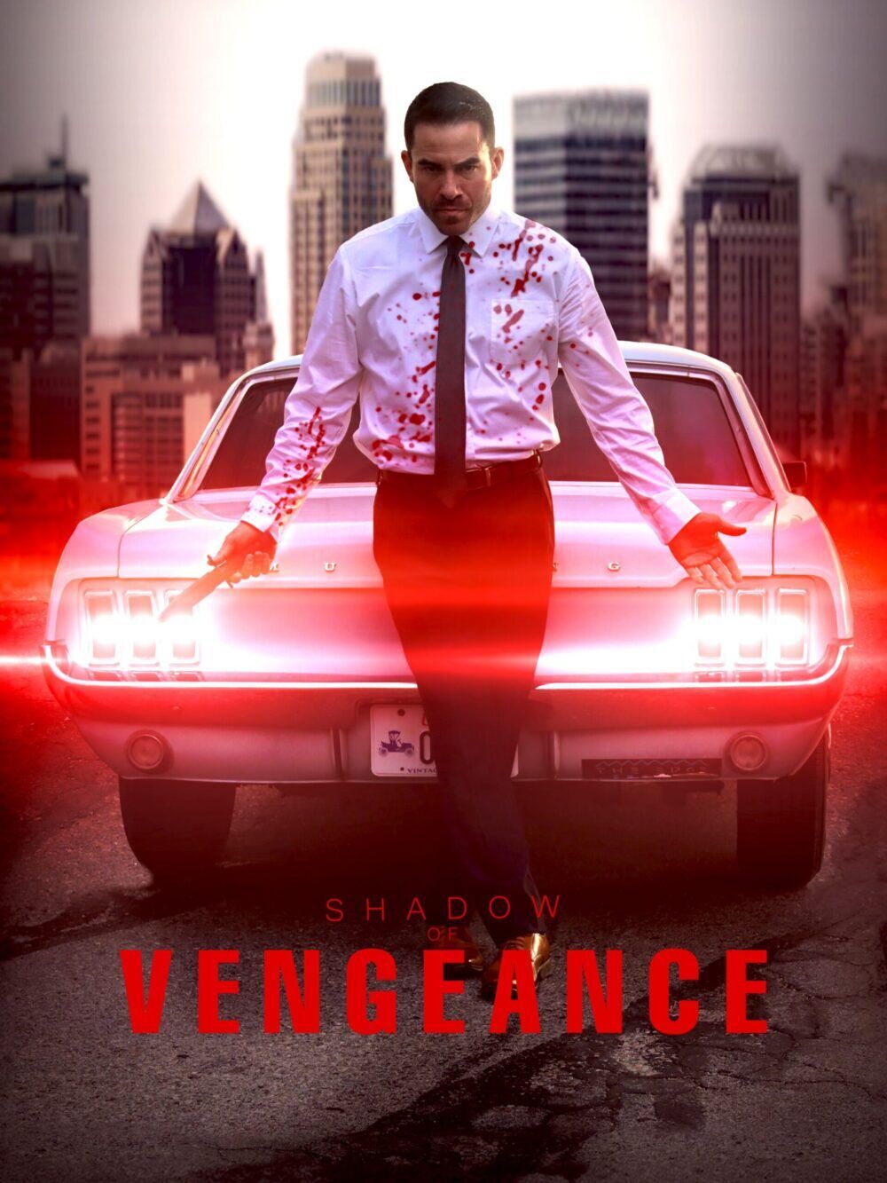 Shadow of Vengeance Cast, OTT, Budget, Box Office, And More