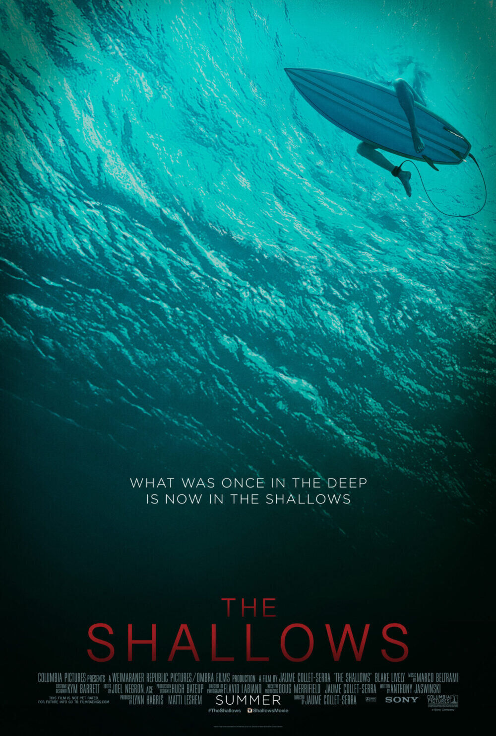 The Shallows 2016 Movie Cast, OTT, Budget, Box Office, And More