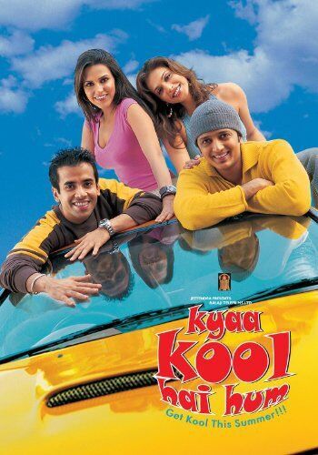 Kyaa Kool Hai Hum 2005 Movie Cast, OTT, Budget, Box Office, And More