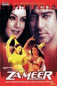Zameer 2005 Movie Cast, OTT, Budget, Box Office, And More