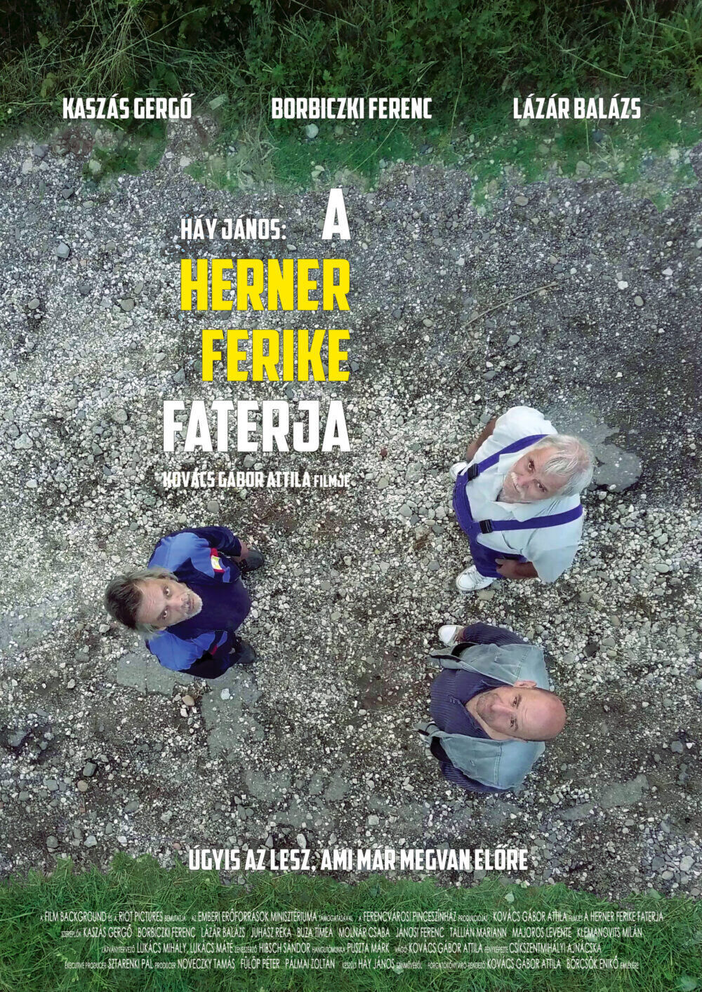 A Herner Ferike faterja Cast, OTT, Budget, Box Office, And More