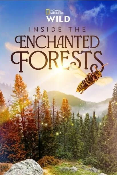 Inside the Enchanted Forests Cast, OTT, Budget, Box Office, And More