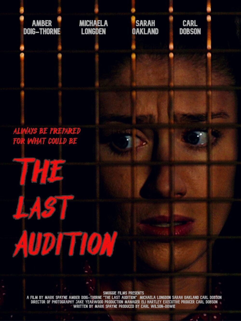 The Last Audition 2025 Movie Cast, OTT, Budget, Box Office, And More