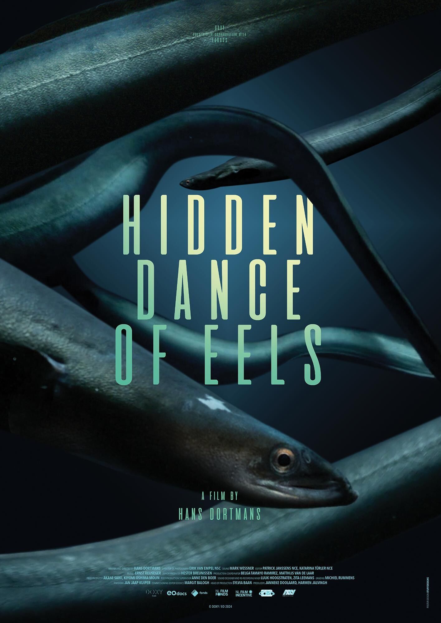 Palingdans Cast, OTT, Budget, Box Office, And More