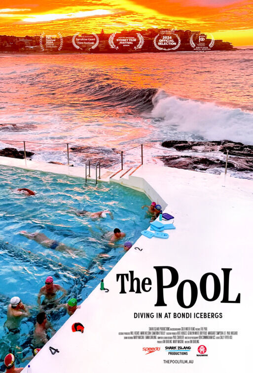 The Pool Cast, OTT, Budget, Box Office, And More
