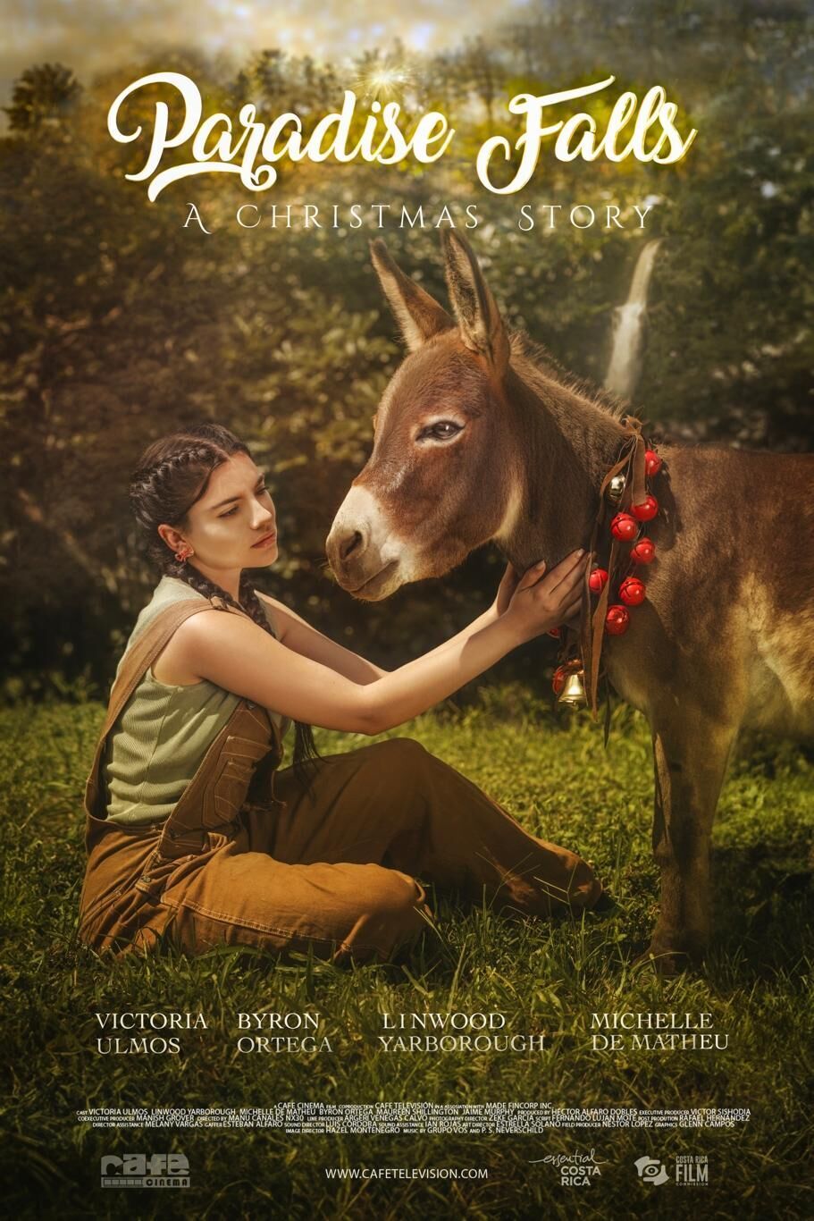 Paradise Falls: A Christmas Story Cast, OTT, Budget, Box Office, And More