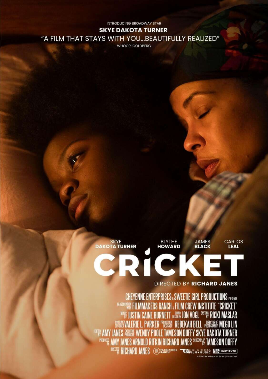 Cricket Cast, OTT, Budget, Box Office, And More