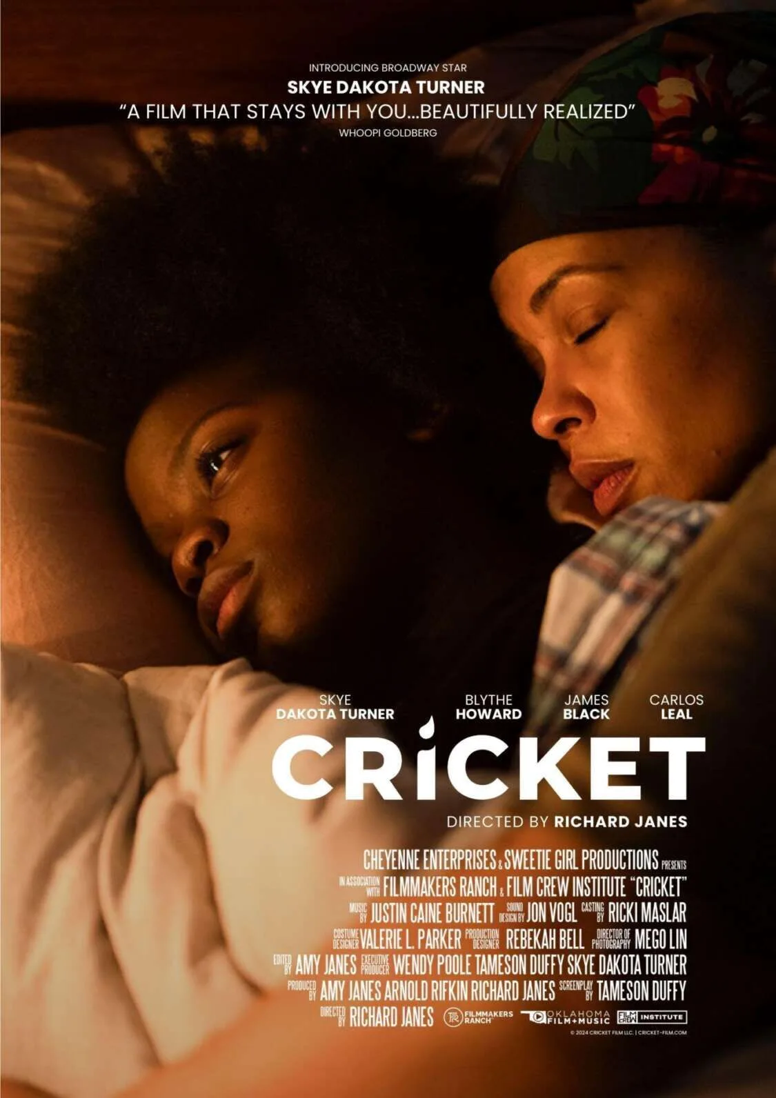 Cricket Cast, OTT, Budget, Box Office, And More