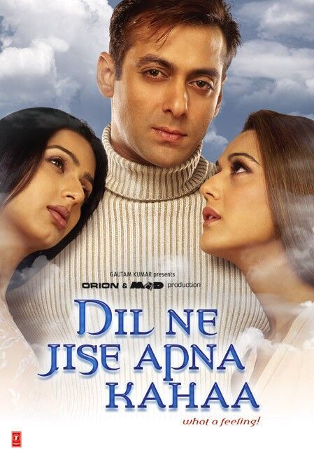 Dil Ne Jise Apna Kaha 2004 Movie Cast, OTT, Budget, Box Office, And More
