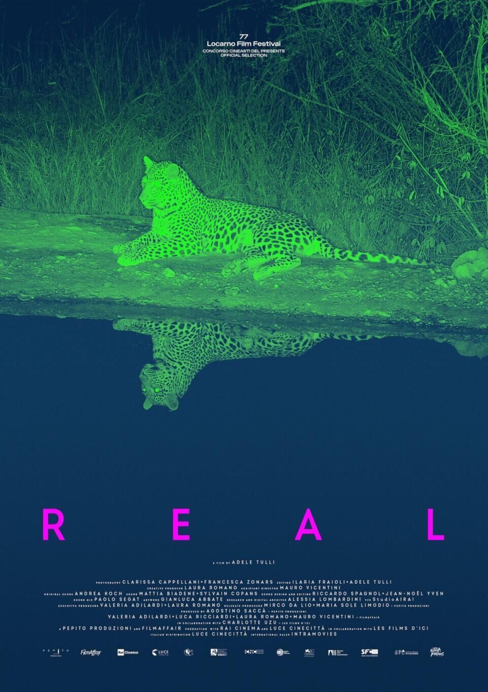 Real Cast, OTT, Budget, Box Office, And More
