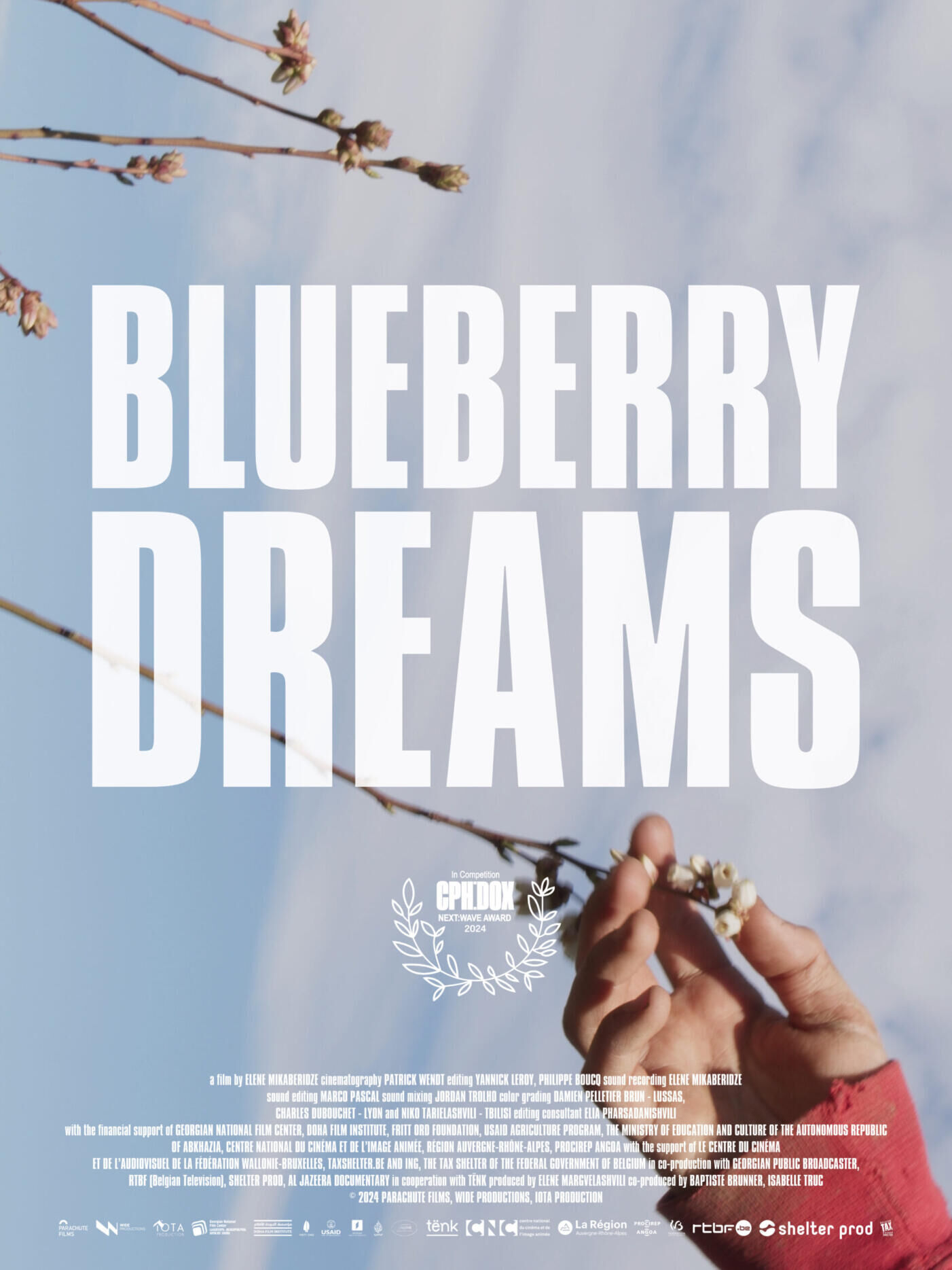 Blueberry Dreams Cast, OTT, Budget, Box Office, And More