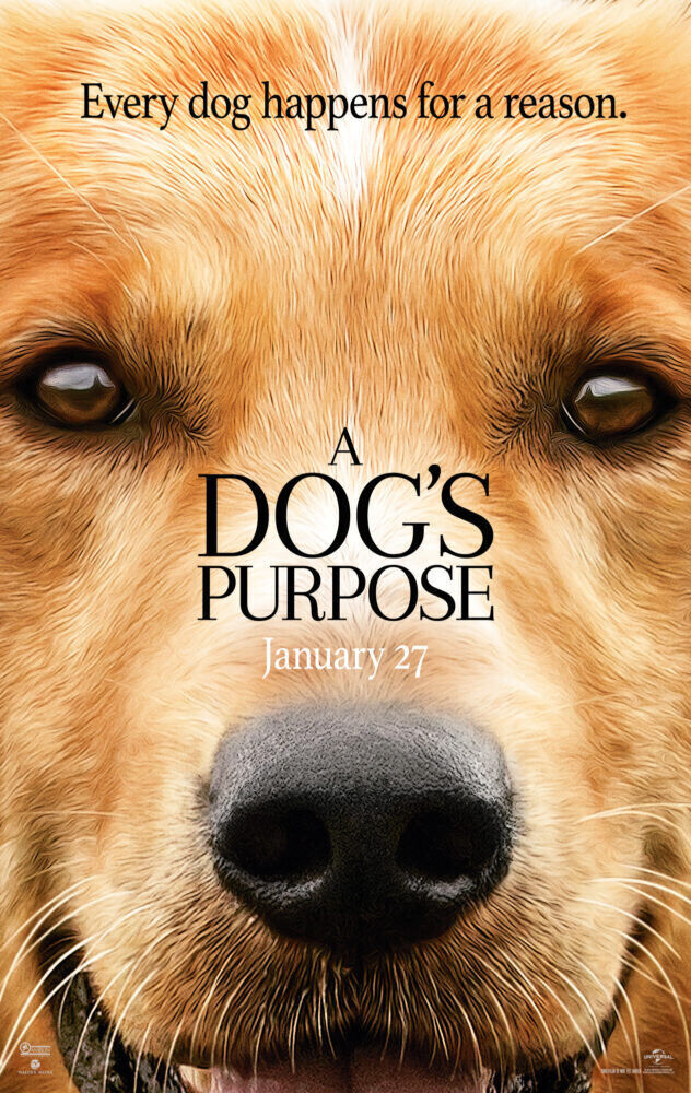 A Dog&apos;s Purpose 2017 Movie Cast, OTT, Budget, Box Office, And More