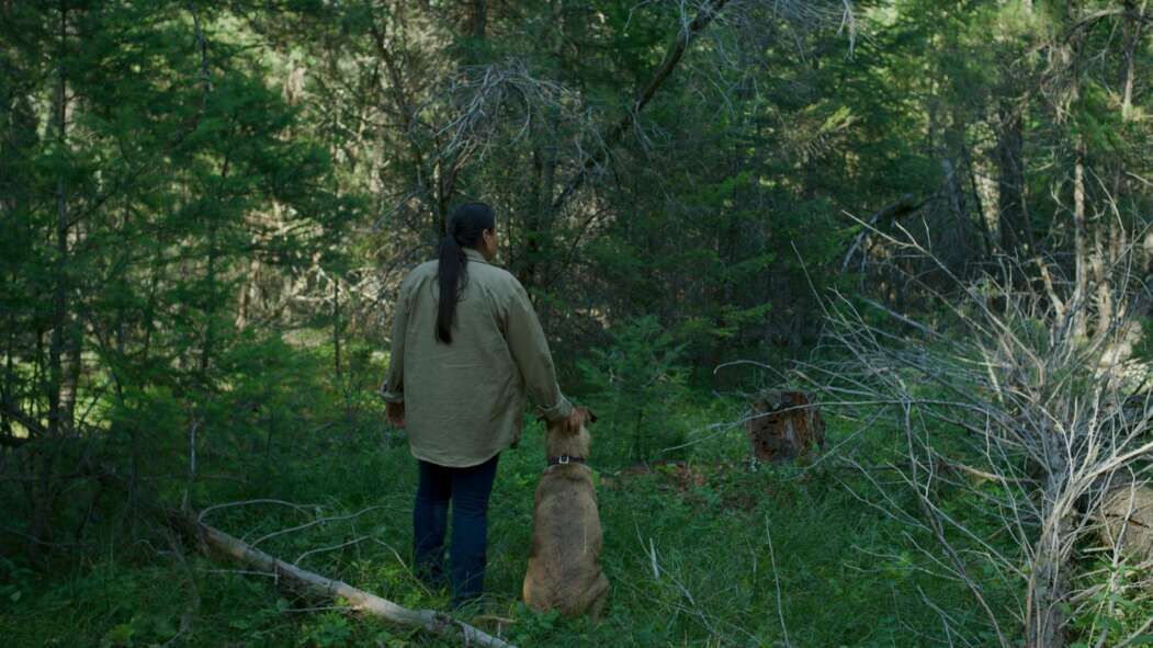 Bitterroot Cast, OTT, Budget, Box Office, And More