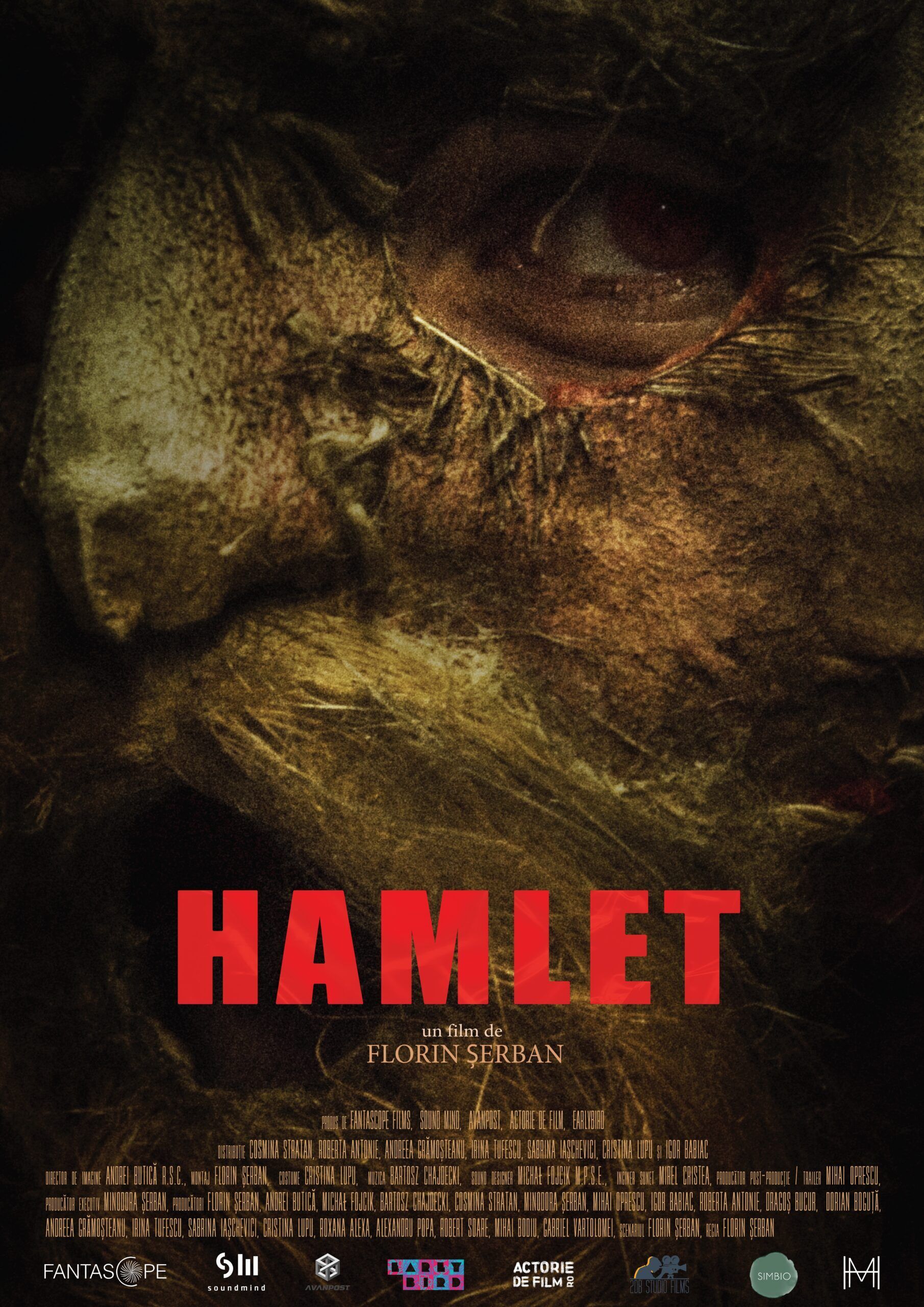 Hamlet Movie Cast, OTT, Budget, Box Office, And More