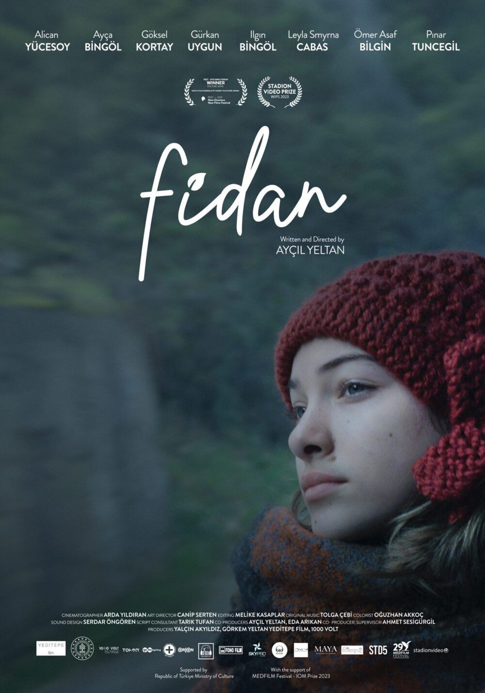 Fidan Cast, OTT, Budget, Box Office, And More