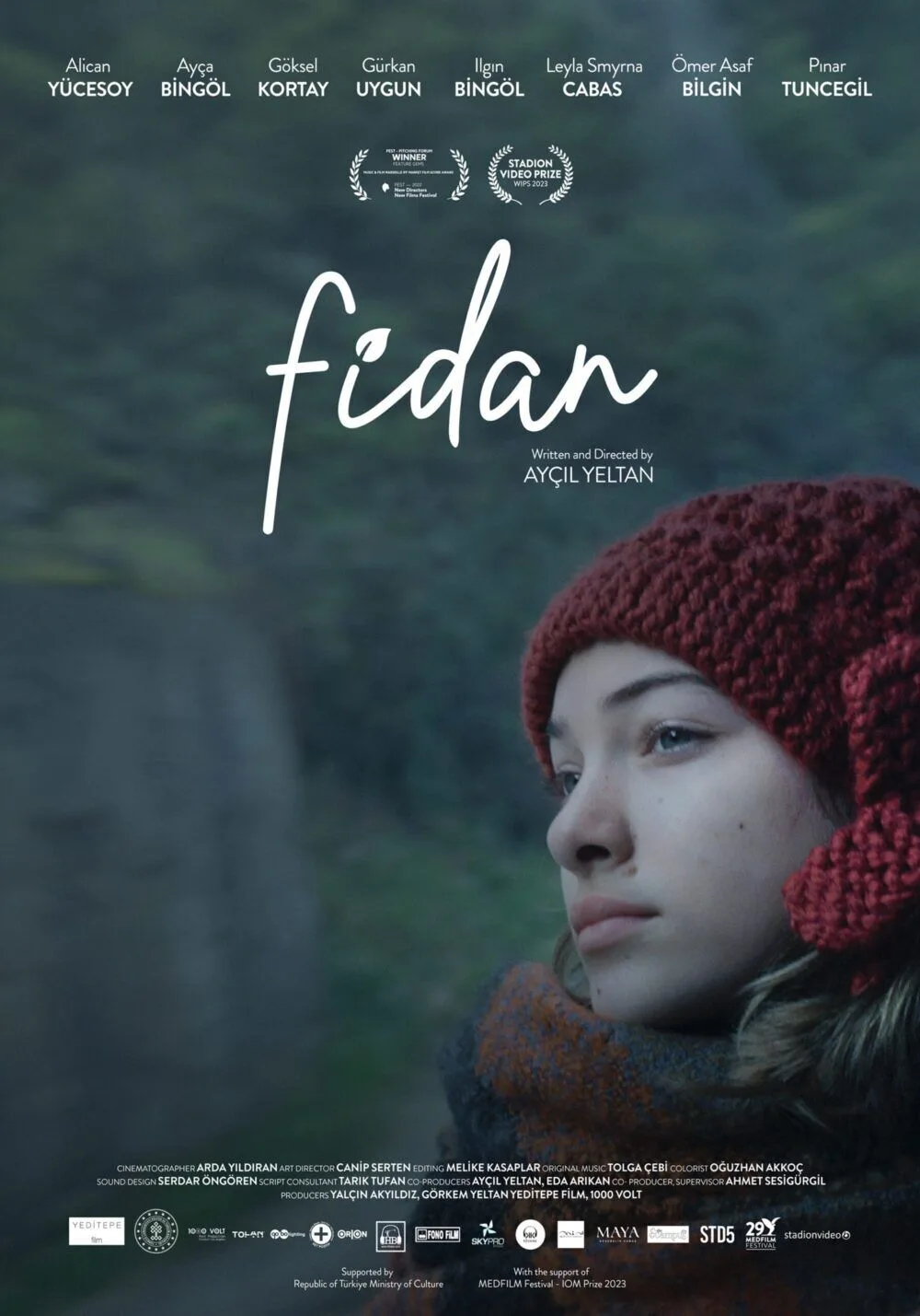 Fidan Cast, OTT, Budget, Box Office, And More