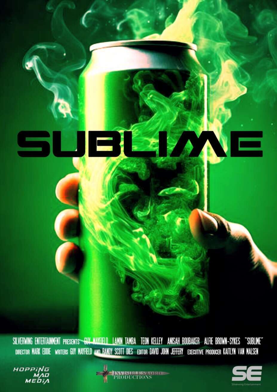 Sublime 2025 Movie Cast, OTT, Budget, Box Office, And More