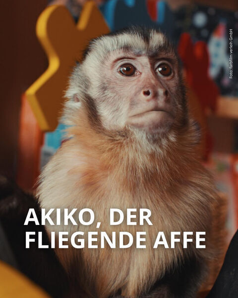 Akiko, the Flying Monkey Cast, OTT, Budget, Box Office, And More