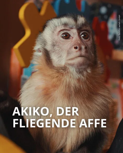 Akiko, the Flying Monkey Cast, OTT, Budget, Box Office, And More