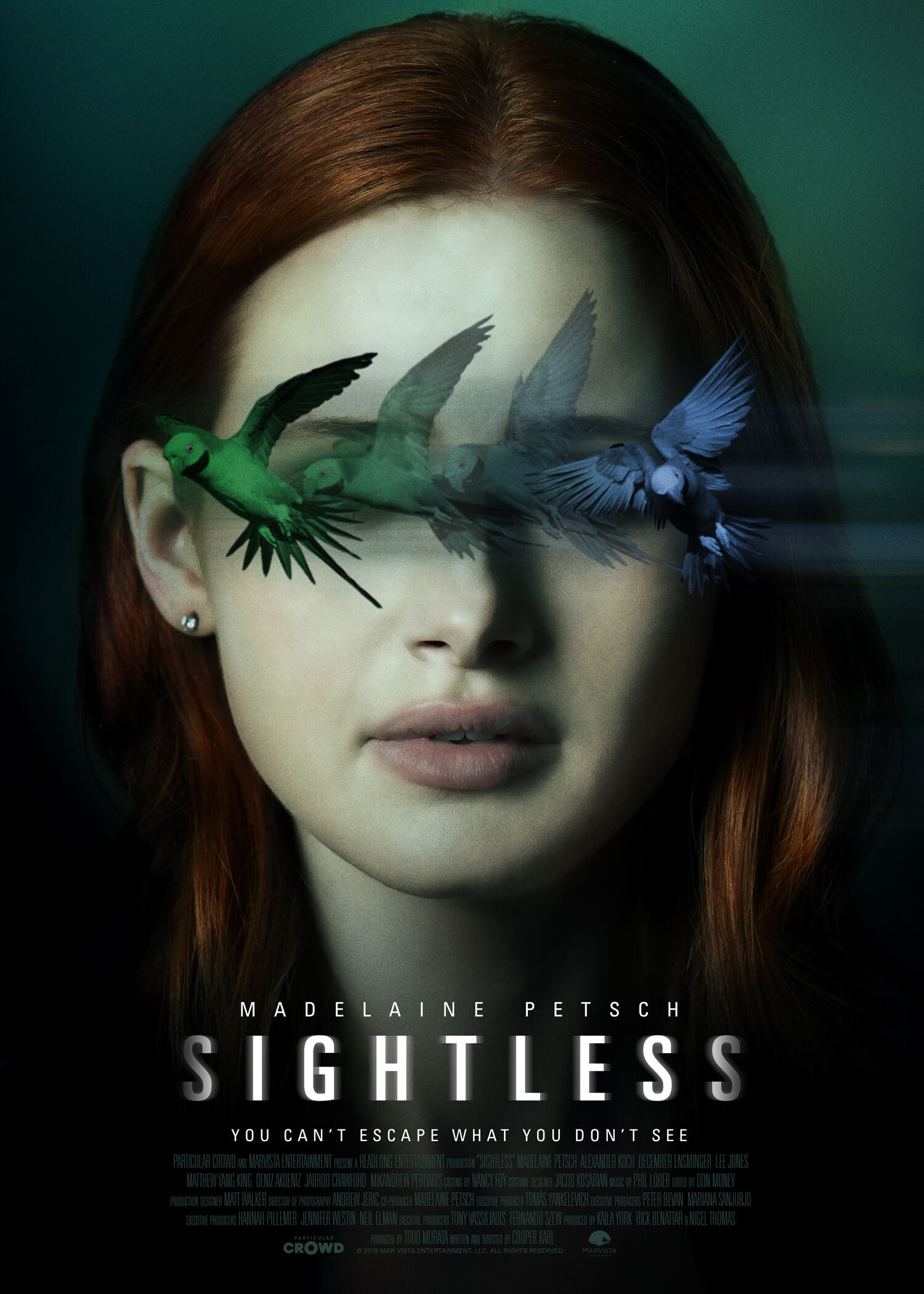Sightless 2020 Movie Cast, OTT, Budget, Box Office, And More