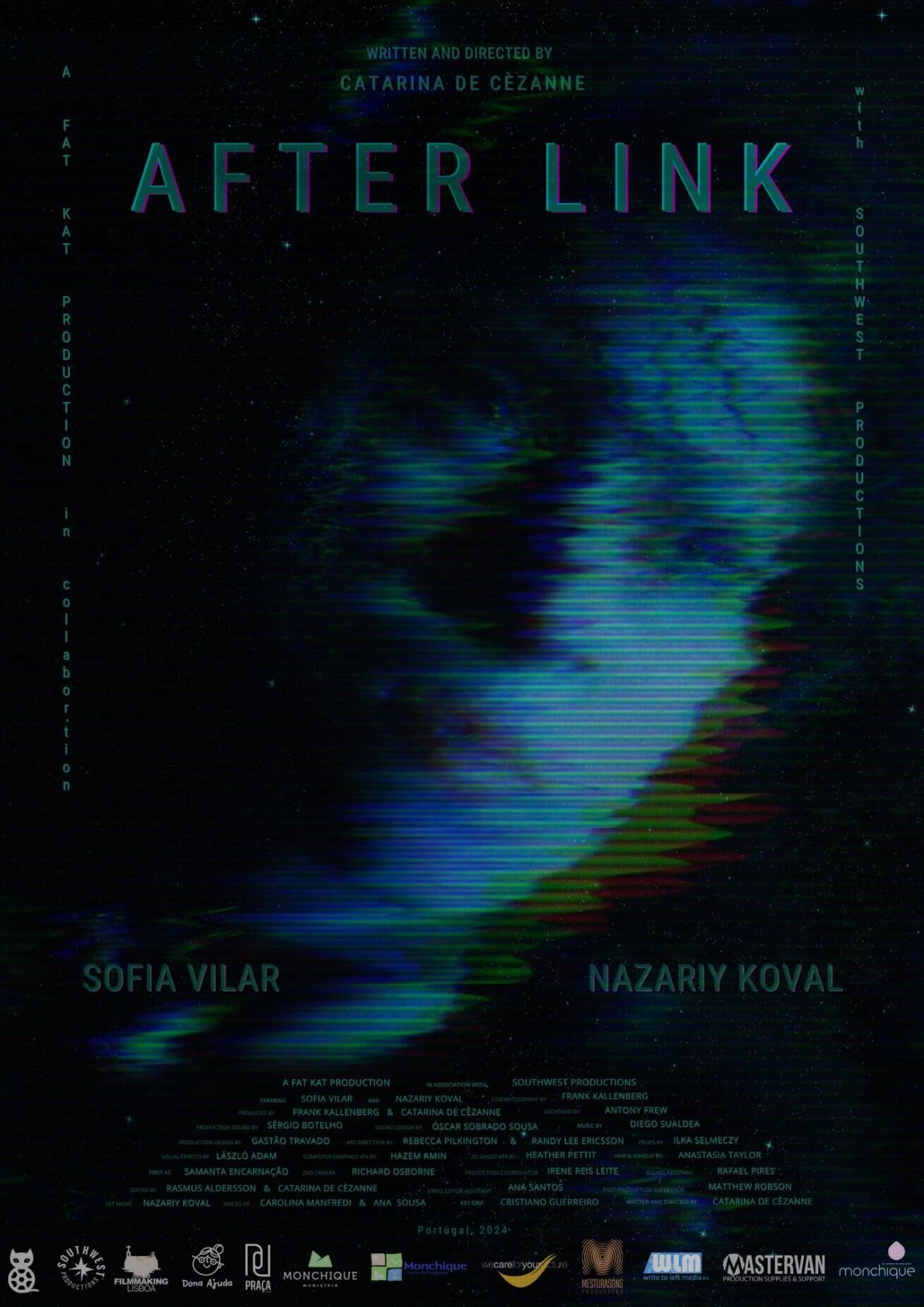After Link Cast, OTT, Budget, Box Office, And More