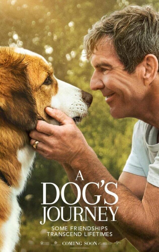A Dog's Journey 2019 Movie Cast, OTT, Budget, Box Office, And More