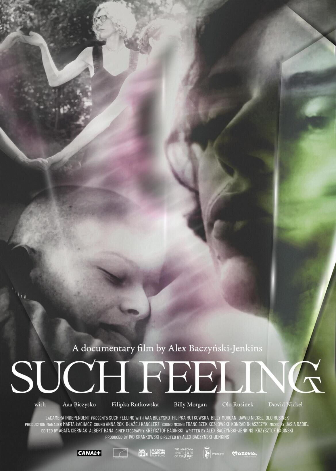 Such Feeling Cast, OTT, Budget, Box Office, And More