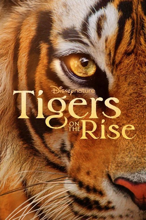 Tigers on the Rise Cast, OTT, Budget, Box Office, And More
