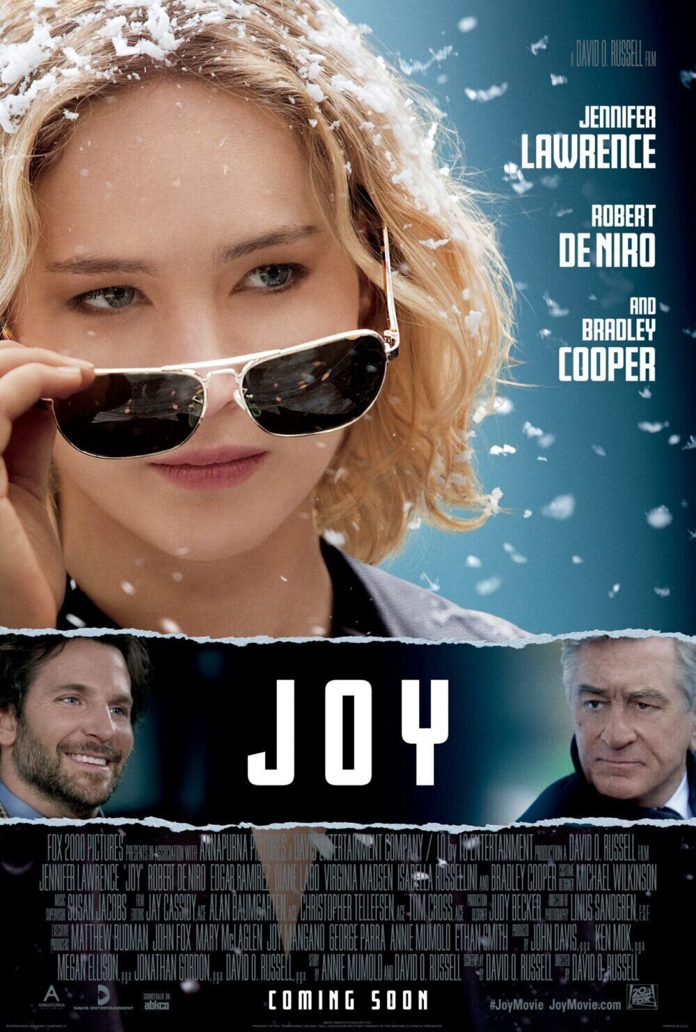 Joy 2015 Movie Cast, OTT, Budget, Box Office, And More